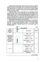 Diplomdarbs 'Gultu ražošanas tehnoloģiskais projekts', 9.