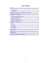 Referāts 'Auto mazgāšana ar tvaika tehnoloģiju', 2.