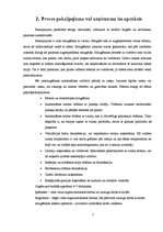 Referāts 'Auto mazgāšana ar tvaika tehnoloģiju', 5.