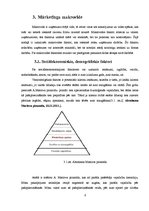 Referāts 'Auto mazgāšana ar tvaika tehnoloģiju', 6.