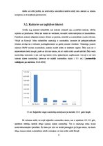 Referāts 'Auto mazgāšana ar tvaika tehnoloģiju', 9.