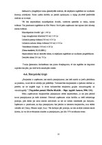 Referāts 'Auto mazgāšana ar tvaika tehnoloģiju', 16.