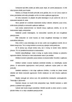 Referāts 'Auto mazgāšana ar tvaika tehnoloģiju', 19.