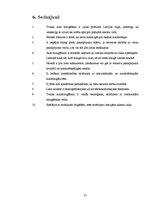 Referāts 'Auto mazgāšana ar tvaika tehnoloģiju', 21.