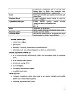 Biznesa plāns 'SIA "Wall art"', 6.