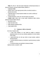 Biznesa plāns 'SIA "Wall art"', 8.