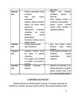 Biznesa plāns 'SIA "Wall art"', 17.