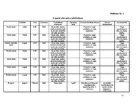 Biznesa plāns 'SIA "Wall art"', 25.