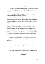 Referāts 'Nukleoproteīdi', 20.