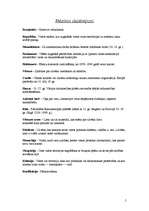 Referāts 'Latvijas valsts', 5.