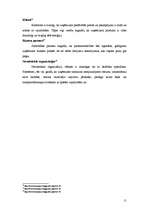 Referāts 'Korporatīvā sociālā atbildība', 11.