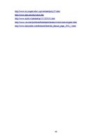 Diplomdarbs 'Burvju un raganu prāvu teorētiskais pamatojums P.Einhorna un H.Samsona darbos', 46.