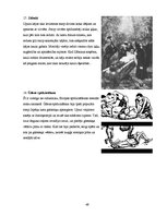 Diplomdarbs 'Burvju un raganu prāvu teorētiskais pamatojums P.Einhorna un H.Samsona darbos', 49.