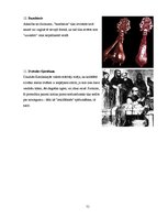 Diplomdarbs 'Burvju un raganu prāvu teorētiskais pamatojums P.Einhorna un H.Samsona darbos', 51.