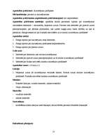 Referāts 'Klīniskā intervija un diskusija', 18.