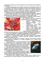 Referāts 'Микро- и нанотехнологии. Технология производства микросхем', 17.