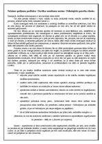 Eseja 'Drošības noteikumu nozīme', 2.