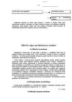 Referāts 'Darba samaksas organizācija uzņēmumā', 13.