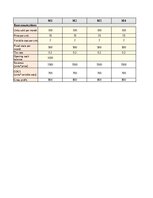 Paraugs 'Business Plan Financial Model', 2.
