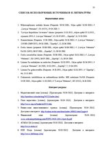 Biznesa plāns 'Разработка бизнес плана для предприятия "Arco"', 23.