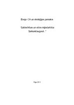 Eseja 'Sabiedrības un vides mijiedarbība Sarkandaugavā', 1.