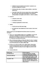 Konspekts 'Senā Roma', 2.