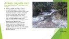 Prezentācija 'Dabas resursu un vides stāvokļa novērtējums Ambeļu pagastā/ciemā', 12.