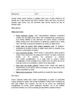 Referāts 'Darba aizsardzības problēmas un to risināšana', 5.