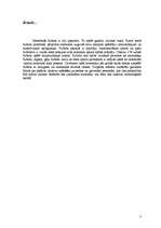 Referāts 'Futbols un tā vēsture', 3.