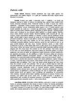 Referāts 'Futbols un tā vēsture', 4.