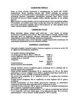 Biznesa plāns 'Biznesa plāna projekts sabiedrībai ar ierobežotu atbildību "Koki"', 2.