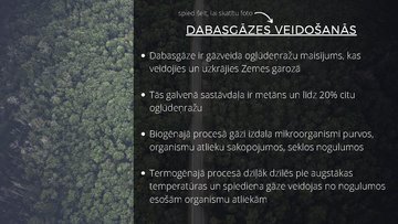 Prezentācija 'Dabasgāze', 2.