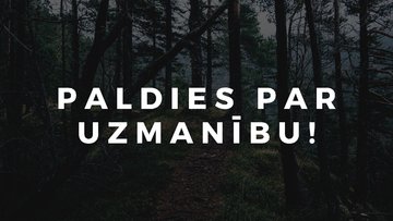 Prezentācija 'Dabasgāze', 8.