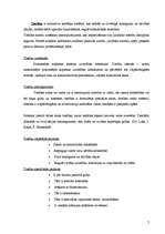 Referāts 'Tiesības un pienākumi', 5.