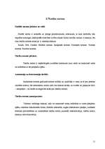 Referāts 'Tiesības un pienākumi', 13.