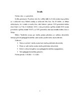 Prakses atskaite 'Aktīvā mācību un audzināšanas prakse sākumskolā', 3.