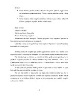 Prakses atskaite 'Aktīvā mācību un audzināšanas prakse sākumskolā', 8.