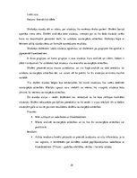 Prakses atskaite 'Aktīvā mācību un audzināšanas prakse sākumskolā', 29.