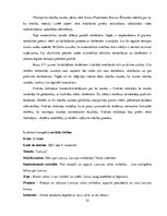 Prakses atskaite 'Aktīvā mācību un audzināšanas prakse sākumskolā', 35.