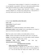 Prakses atskaite 'Aktīvā mācību un audzināšanas prakse sākumskolā', 38.