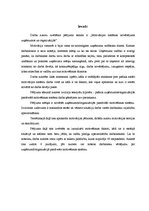 Referāts 'Motivācijas sistēmas novērtējums uzņēmumos un organizācijās', 2.