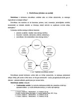 Referāts 'Motivācijas sistēmas novērtējums uzņēmumos un organizācijās', 3.