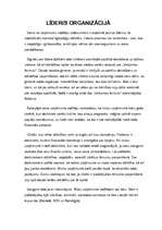 Eseja 'Līderis organizācijā', 1.