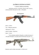 Referāts 'Kalašņikova sistēmas automāti', 1.