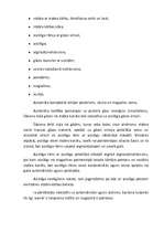 Referāts 'Kalašņikova sistēmas automāti', 2.