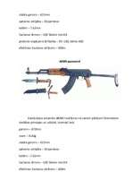 Referāts 'Kalašņikova sistēmas automāti', 5.