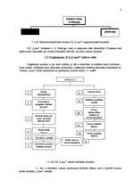 Referāts 'Z/s "Lauri" veikals', 6.