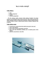 Konspekts 'Vitālie rādītāji', 1.