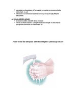 Konspekts 'Vitālie rādītāji', 6.