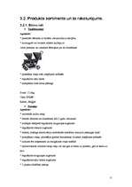 Biznesa plāns 'Bērnu preču veikals "Laumiņa"', 11.